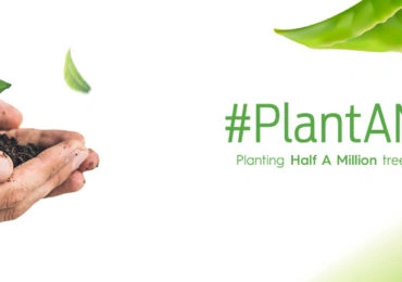 Plant A New Life